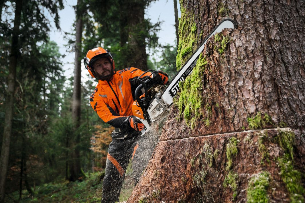 GASOLINE CHAINSAW MS 500¡