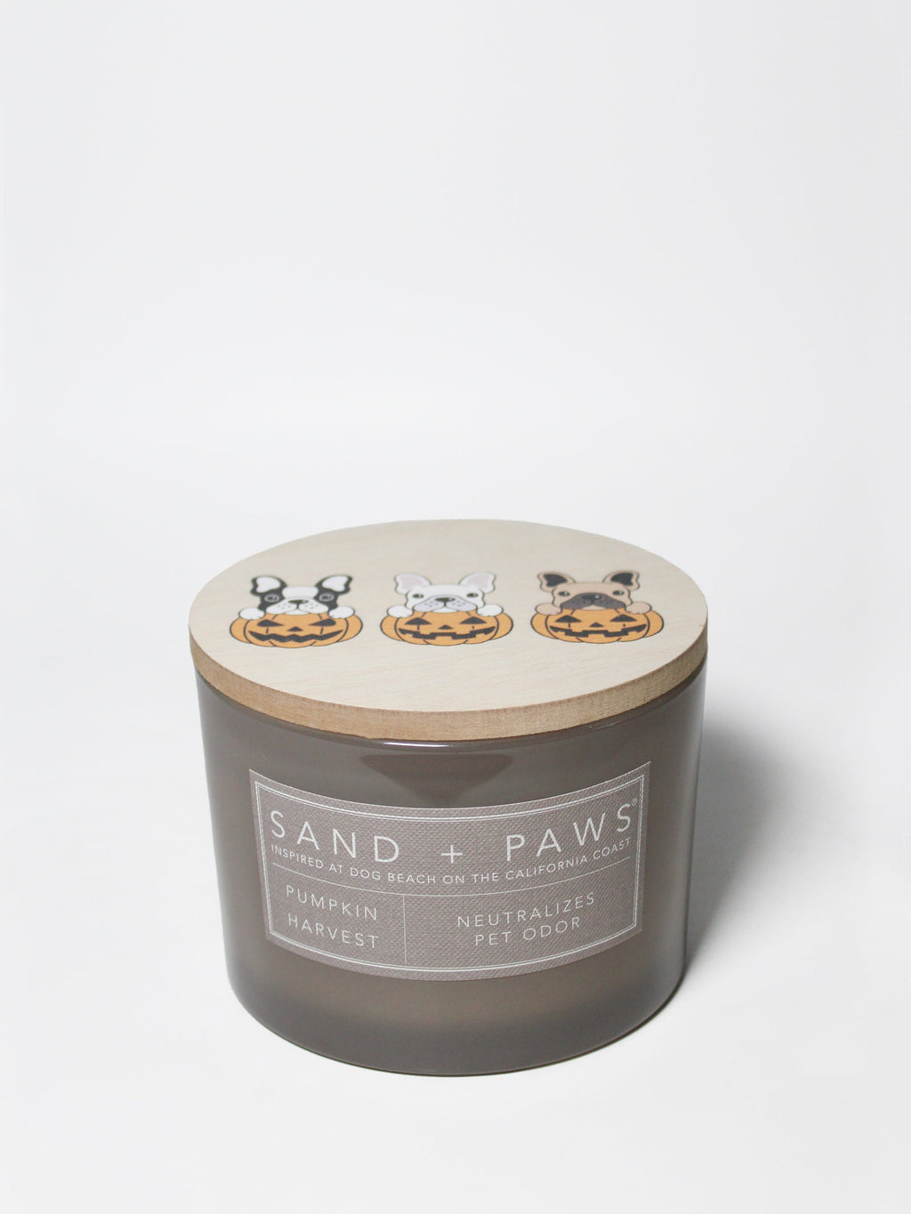 Elegant Sand + Paws Pumpkin Harvest 12 oz scented candle