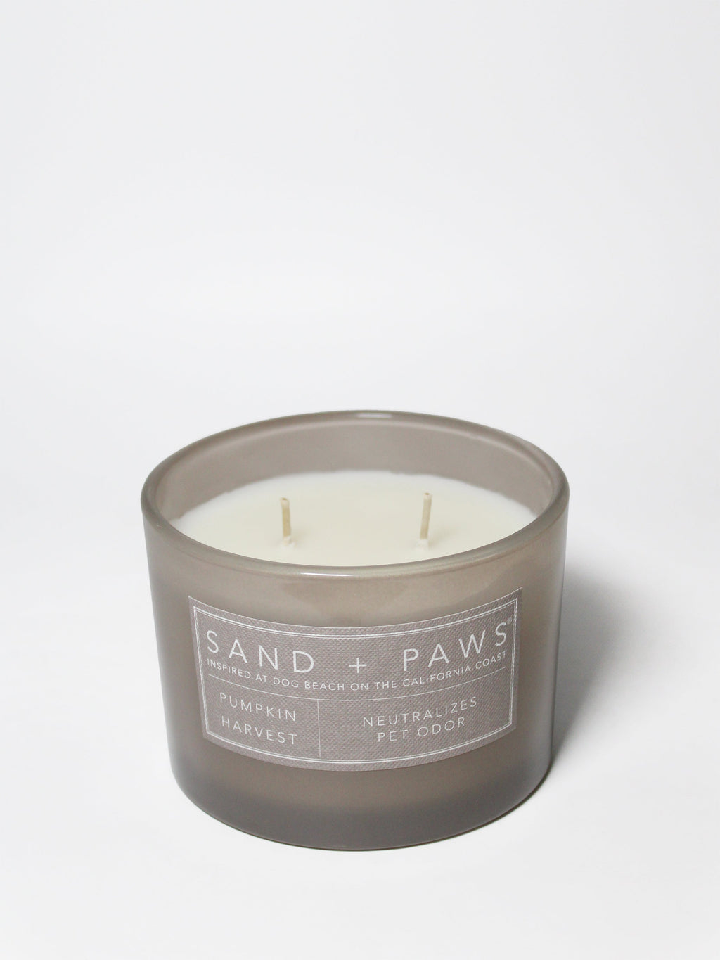 Elegant Sand + Paws Pumpkin Harvest 12 oz scented candle