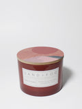 Elegant Sun-n-Fun 12 oz scented candle