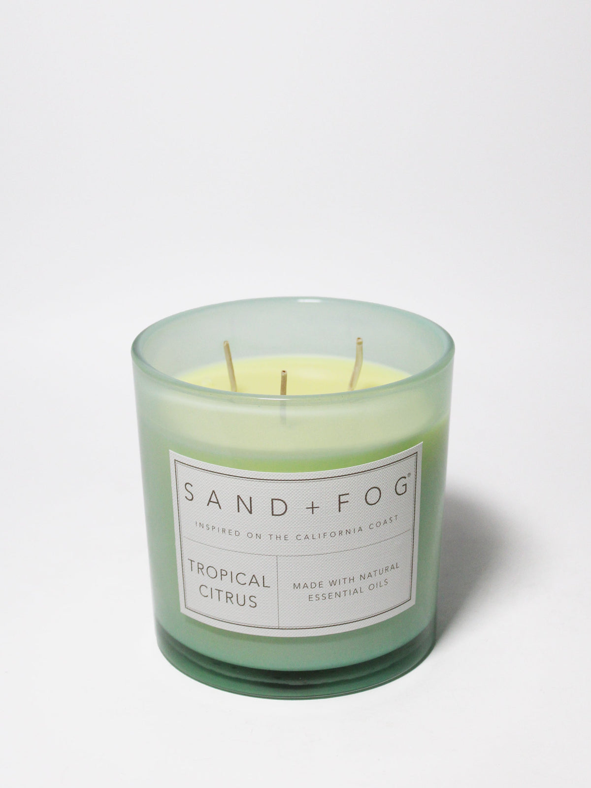 Elegant Tropical Citrus 21 oz scented candle