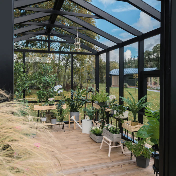 WOODEN greenhouse MODERN | PREMIUM