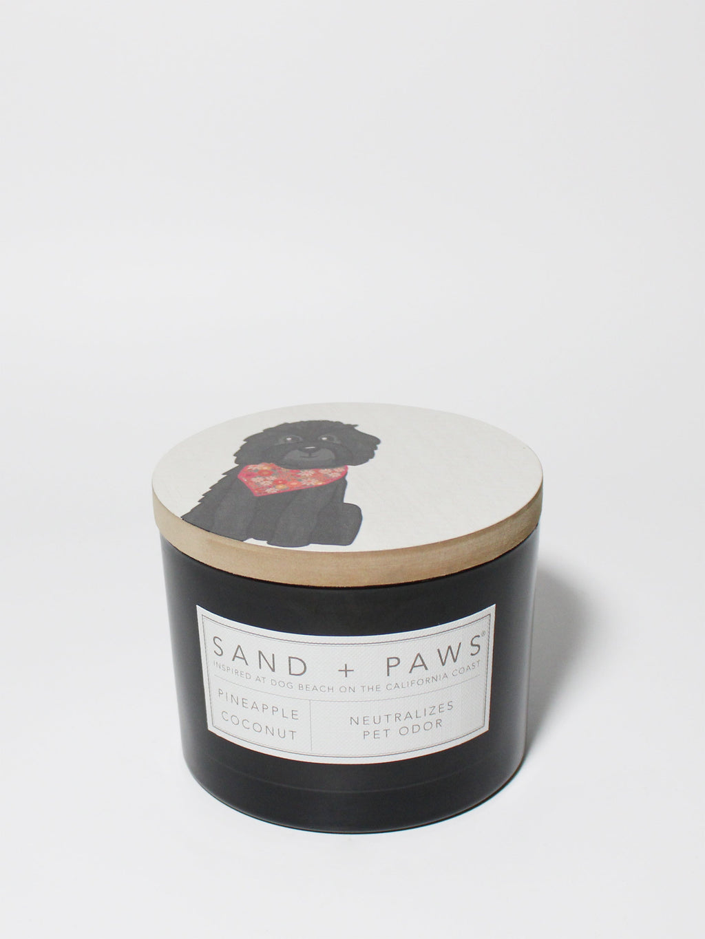 Elegant Sand + Paws Pineapple Coconut 12 oz scented candle