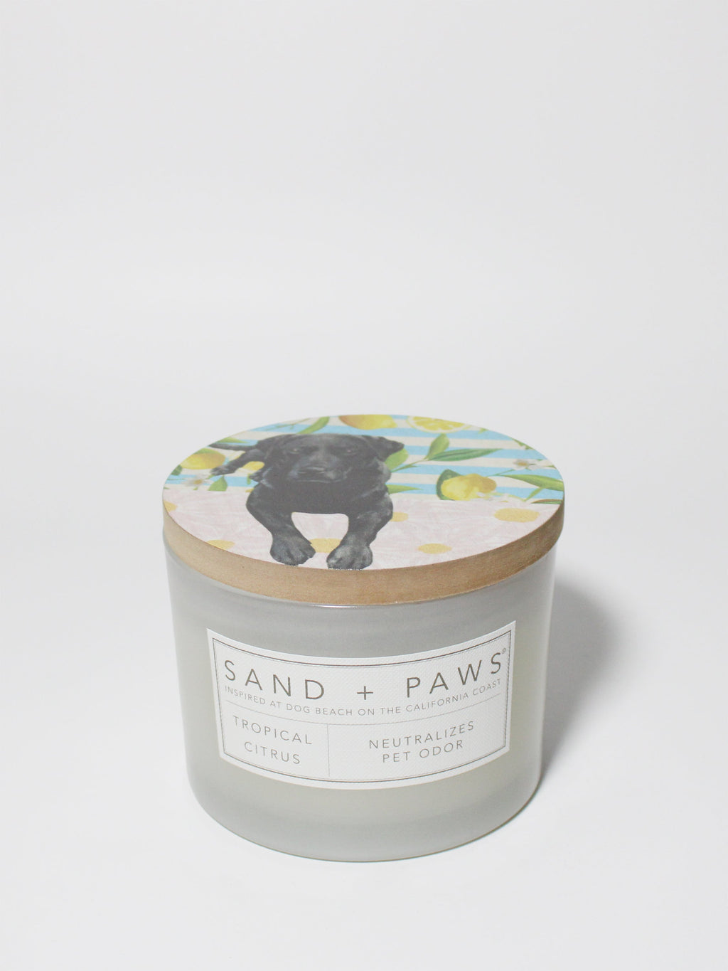 Elegant Sand + Paws Tropical Citrus 12 oz scented candle