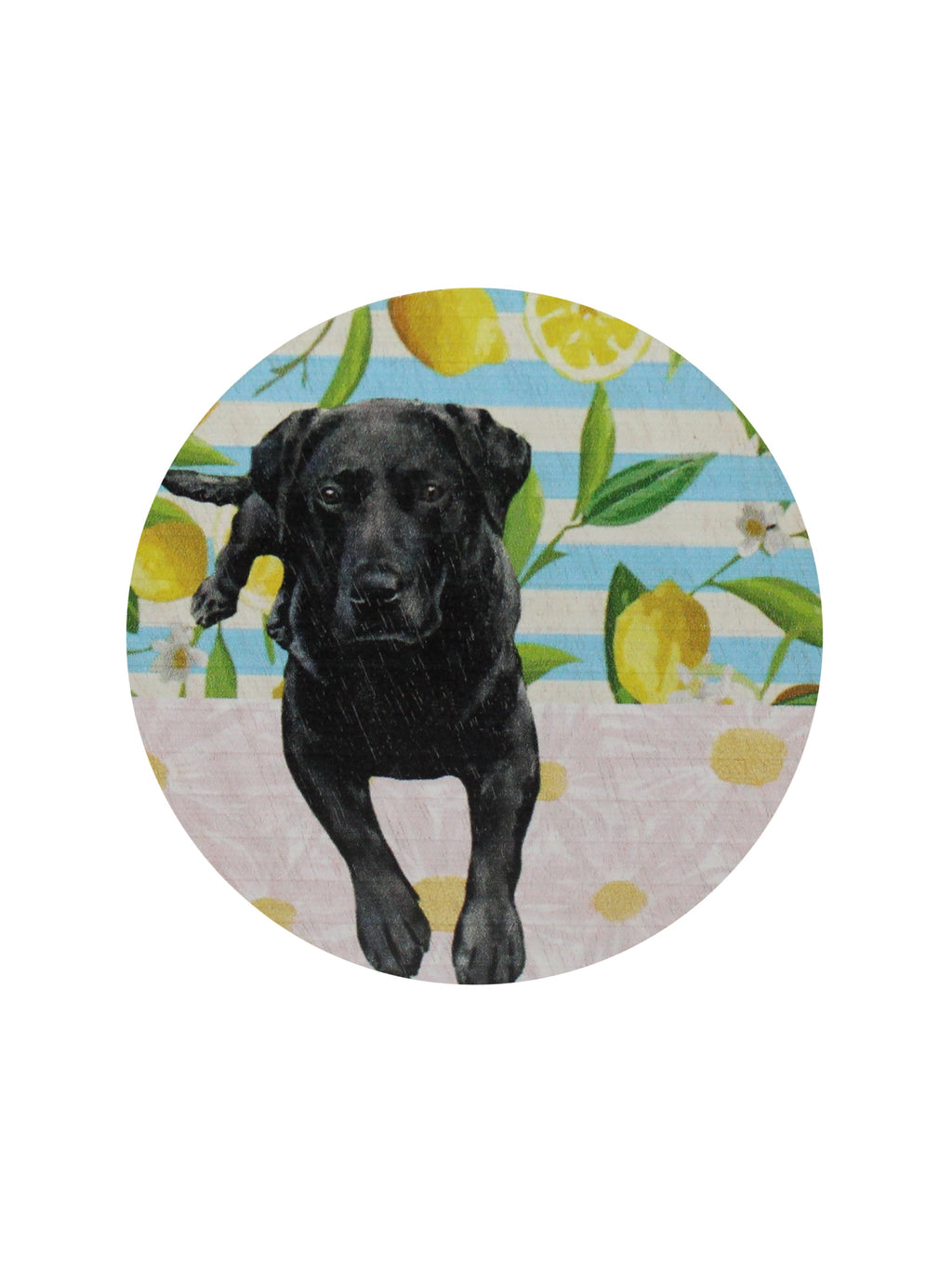 Elegant Sand + Paws Tropical Citrus 12 oz scented candle