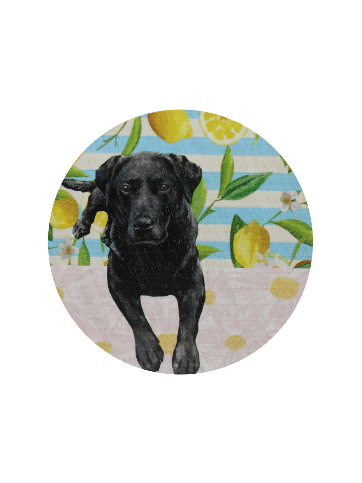 Elegant Sand + Paws Tropical Citrus 12 oz scented candle