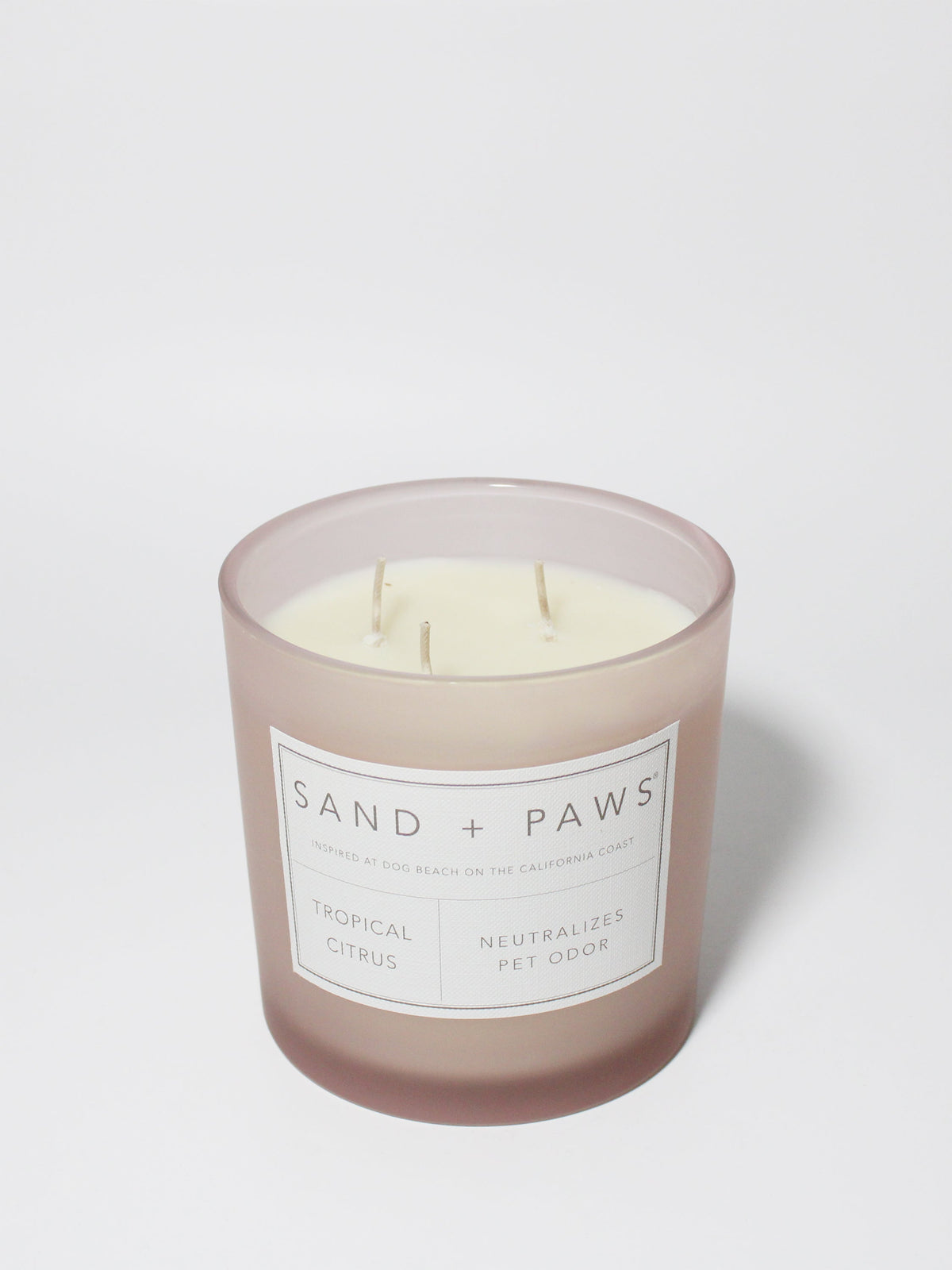 Elegant Sand + Paws Tropical Citrus 21 oz scented candle