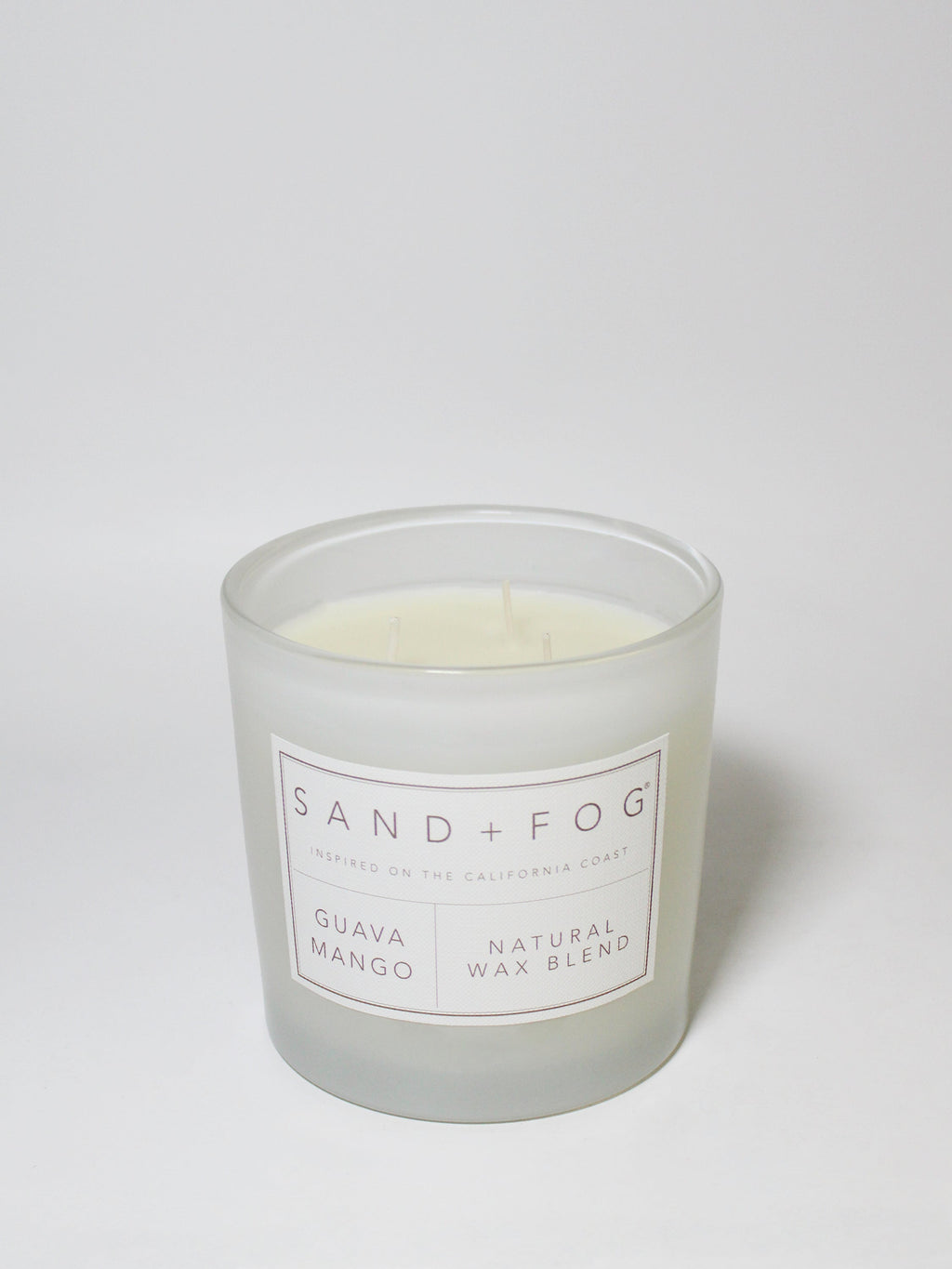 Elegant Guava Mango 21 oz scented candle