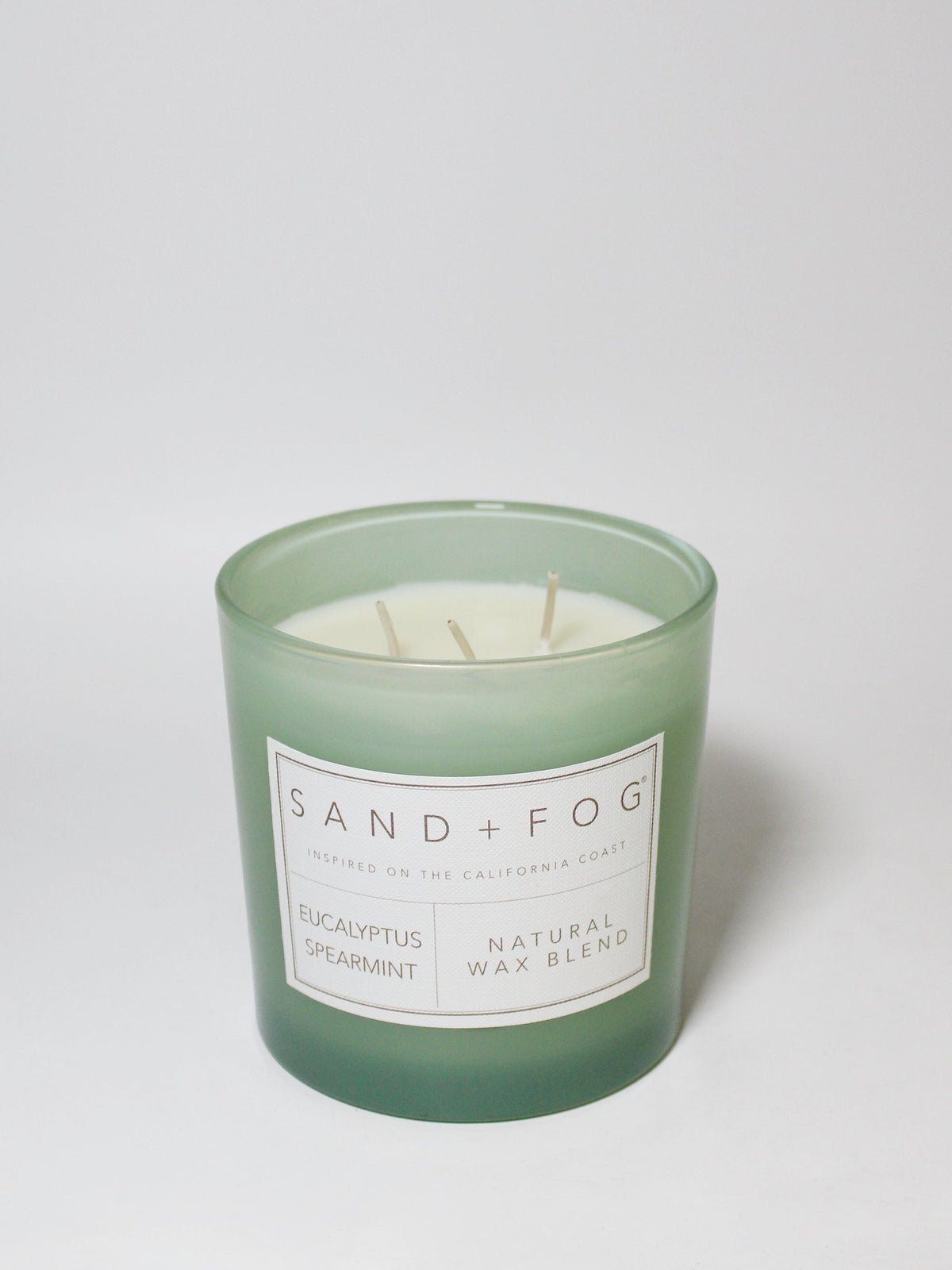 Elegant Eucalyptus Spearmint 21 oz scented candle