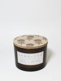 Elegant White Vanilla 12 oz scented candle