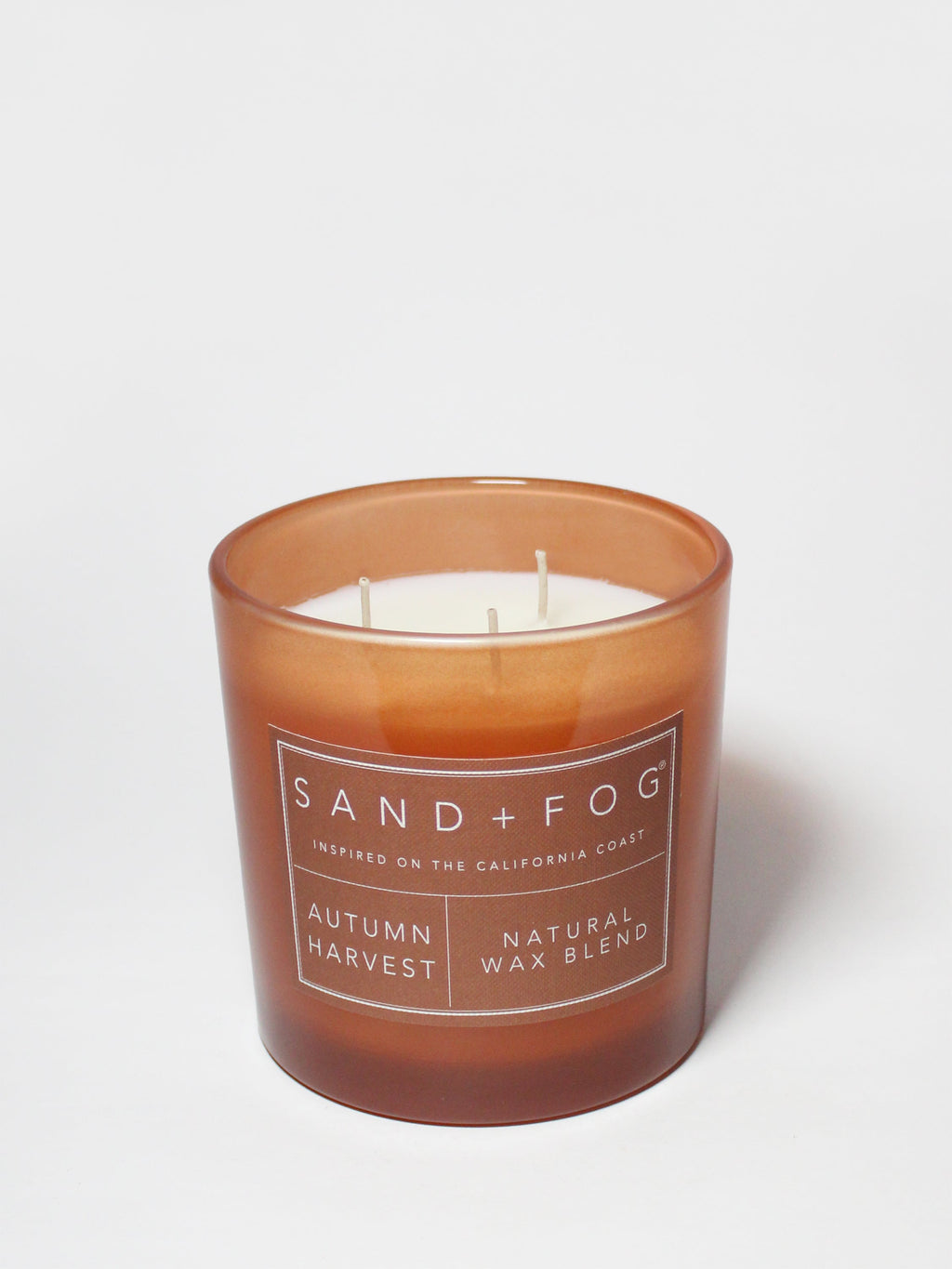 Elegant Autumn Harvest 21 oz scented candle