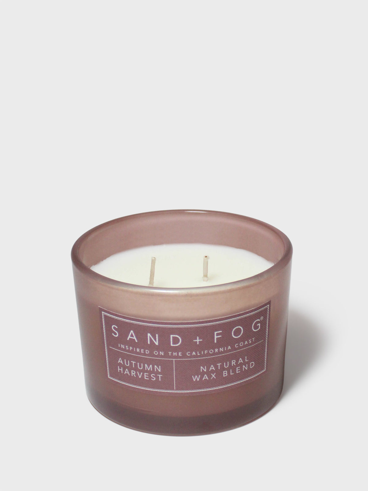 Elegant Autumn Harvest 12 oz scented candle