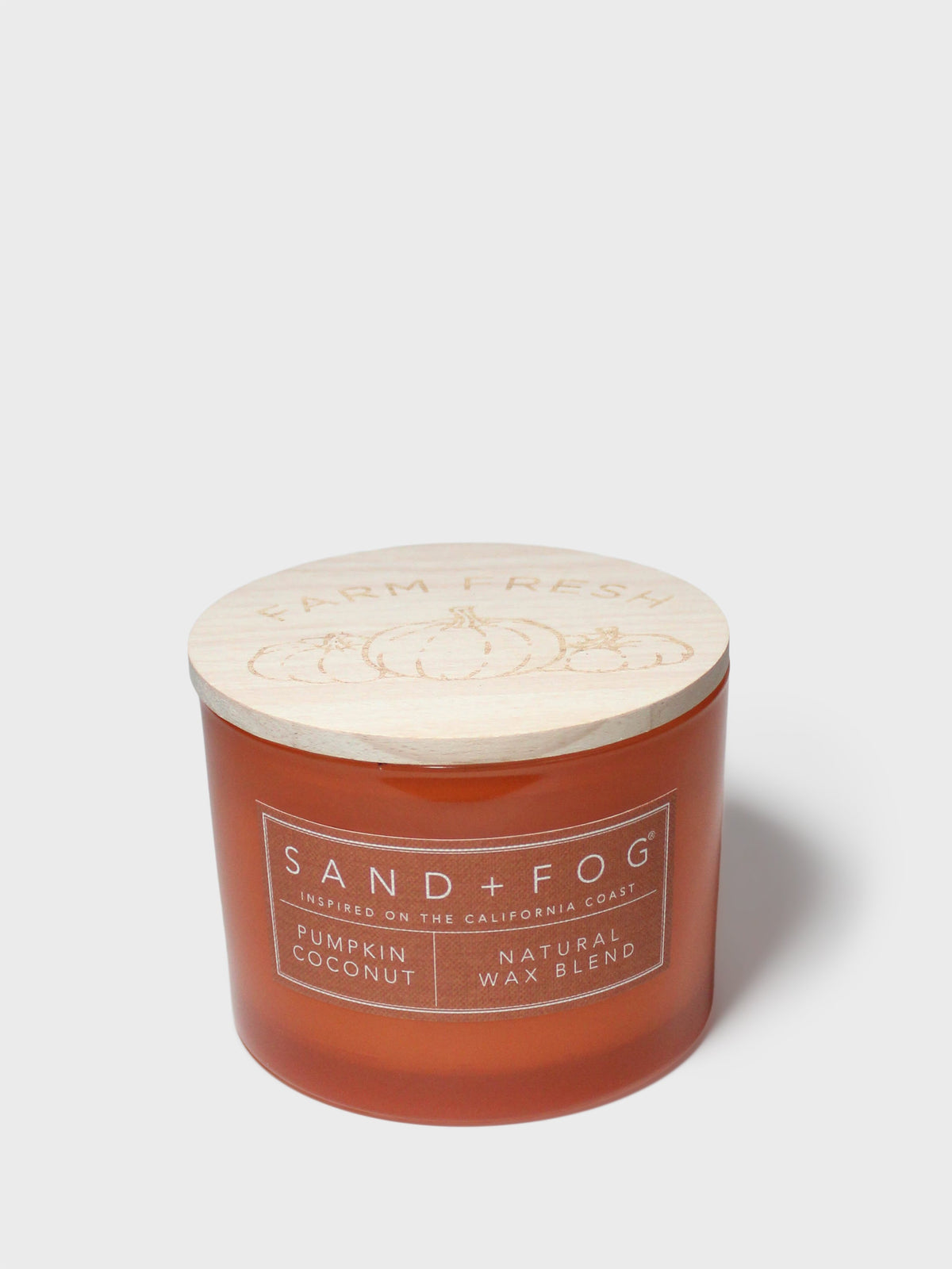 Elegant Pumpkin Coconut 12 oz scented candle