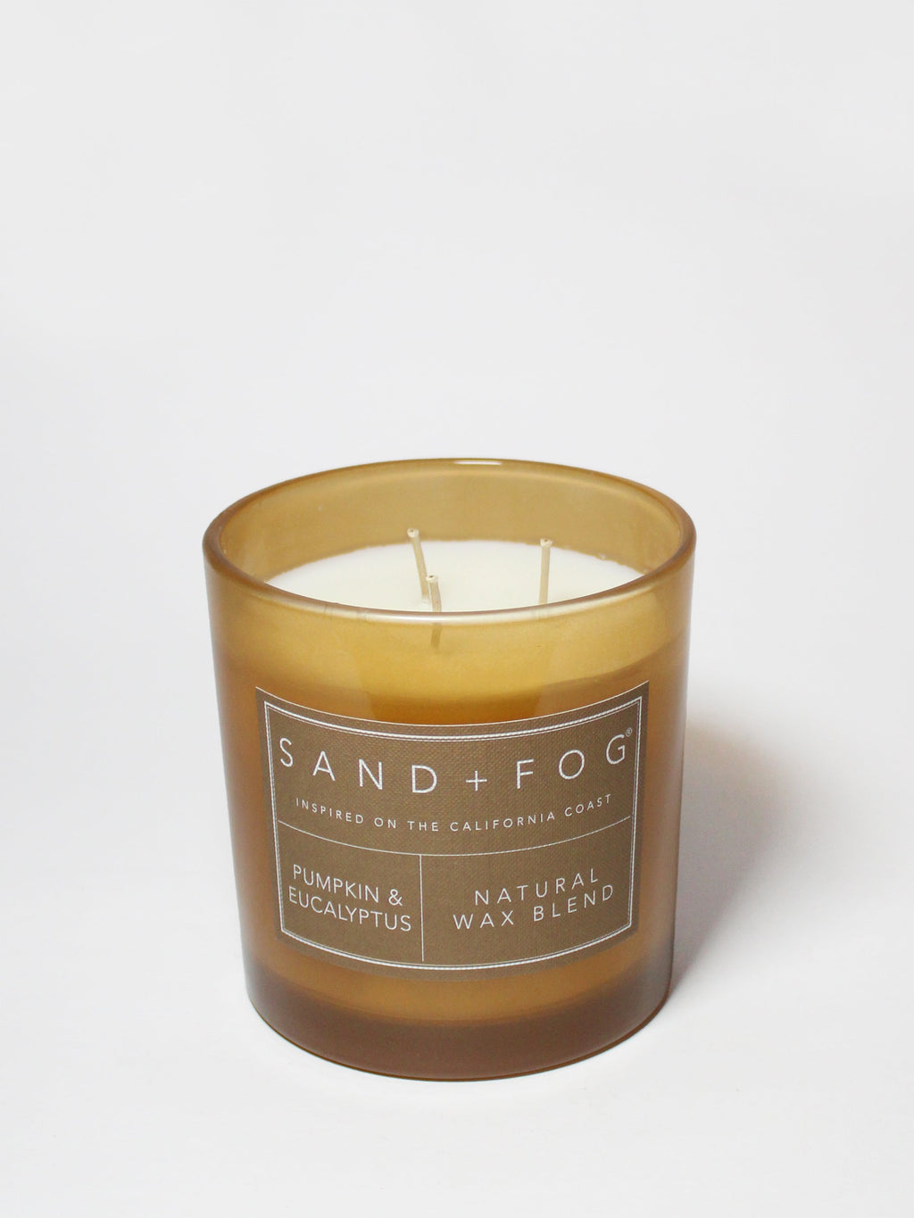 Elegant Pumpkin & Eucalyptus 21 oz scented candle