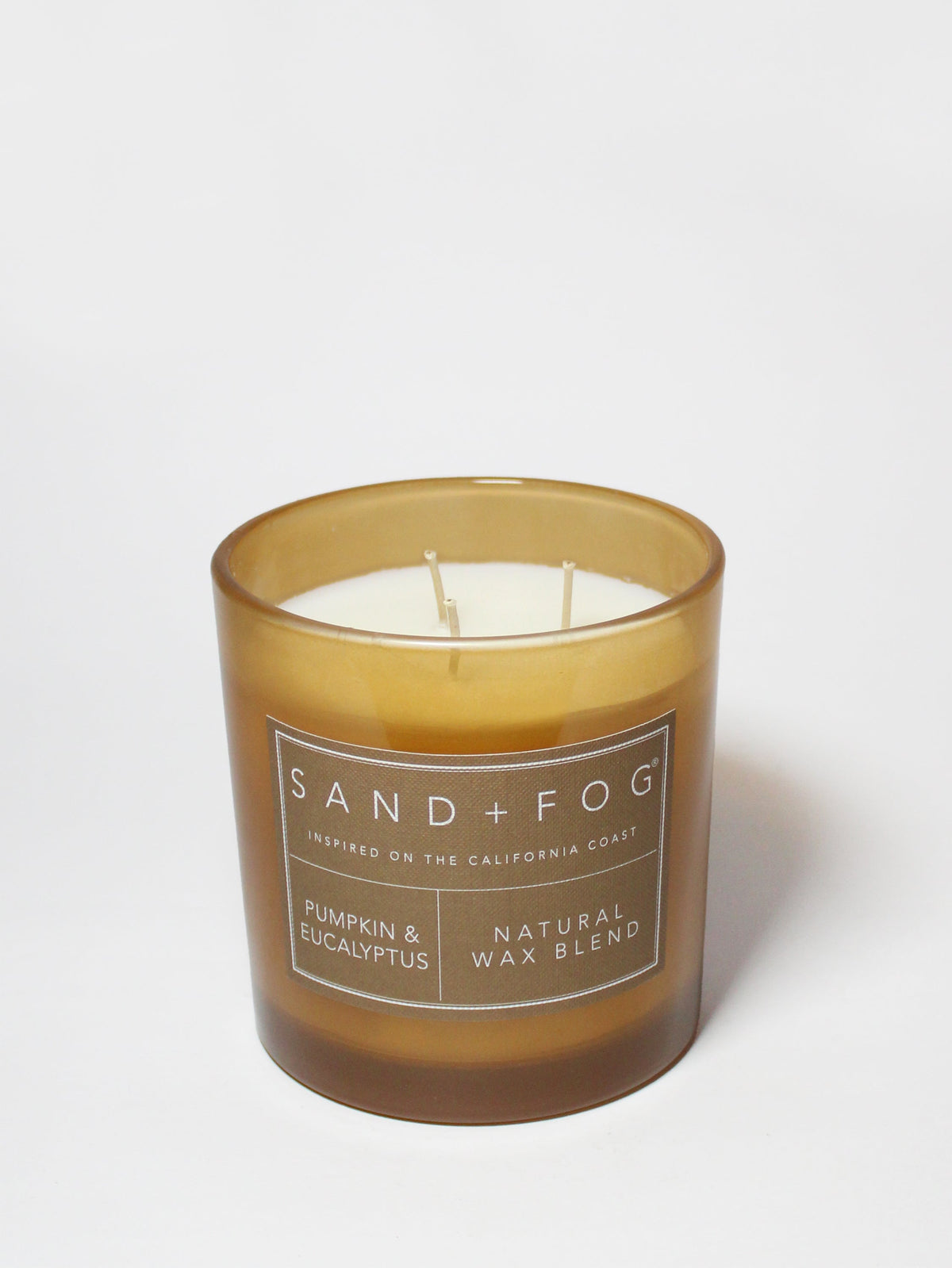 Elegant Pumpkin & Eucalyptus 21 oz scented candle