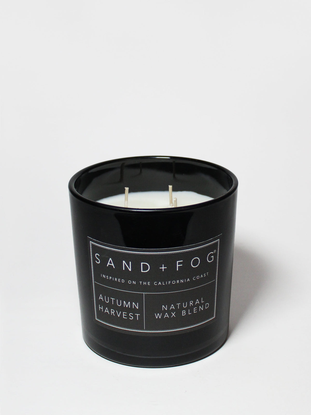 Elegant Autumn Harvest 21 oz scented candle