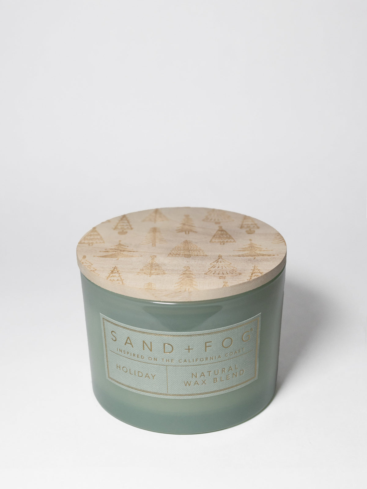 Elegant Holiday 12 oz scented candle