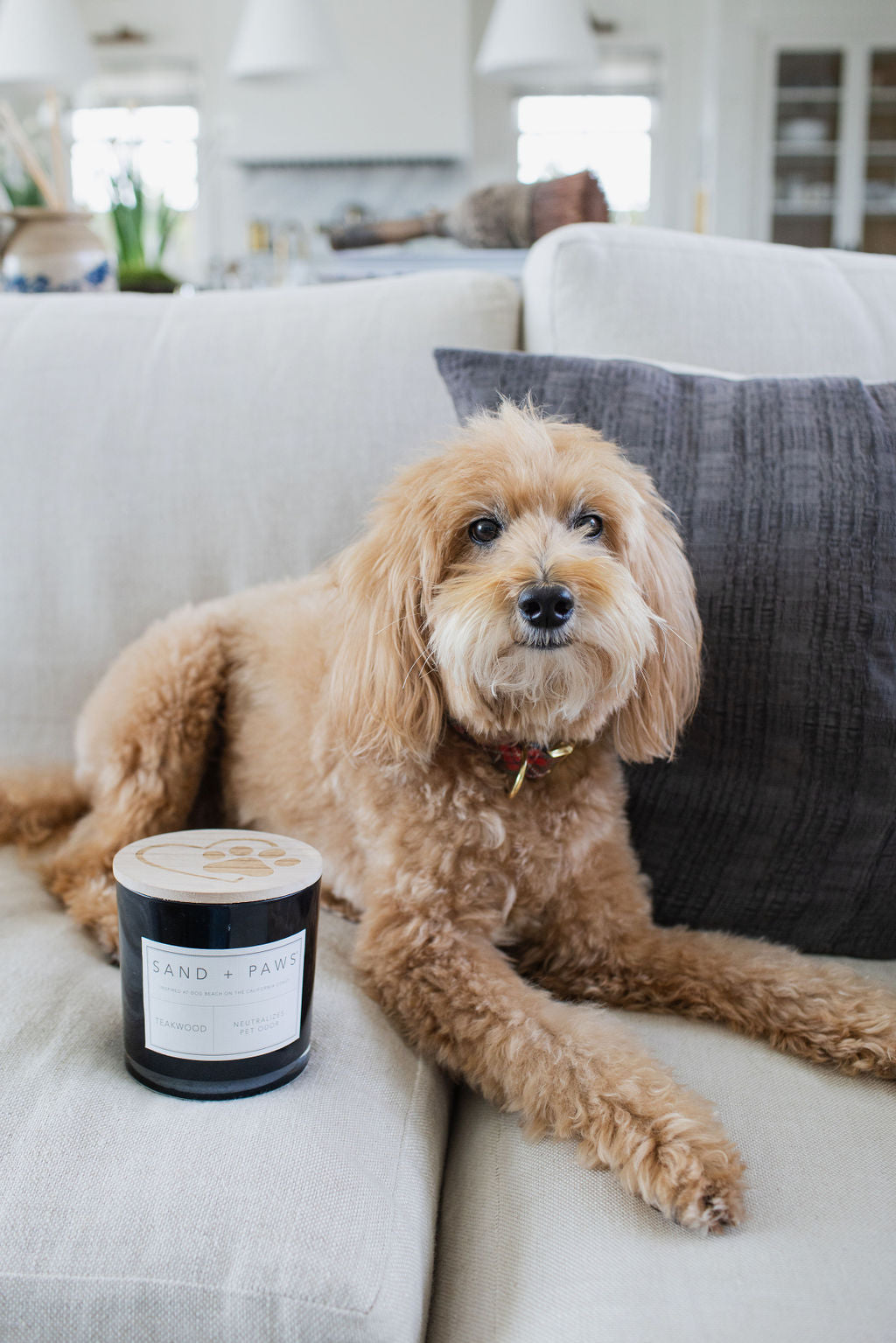 Elegant Sand + Paws Teakwood 21 oz scented candle