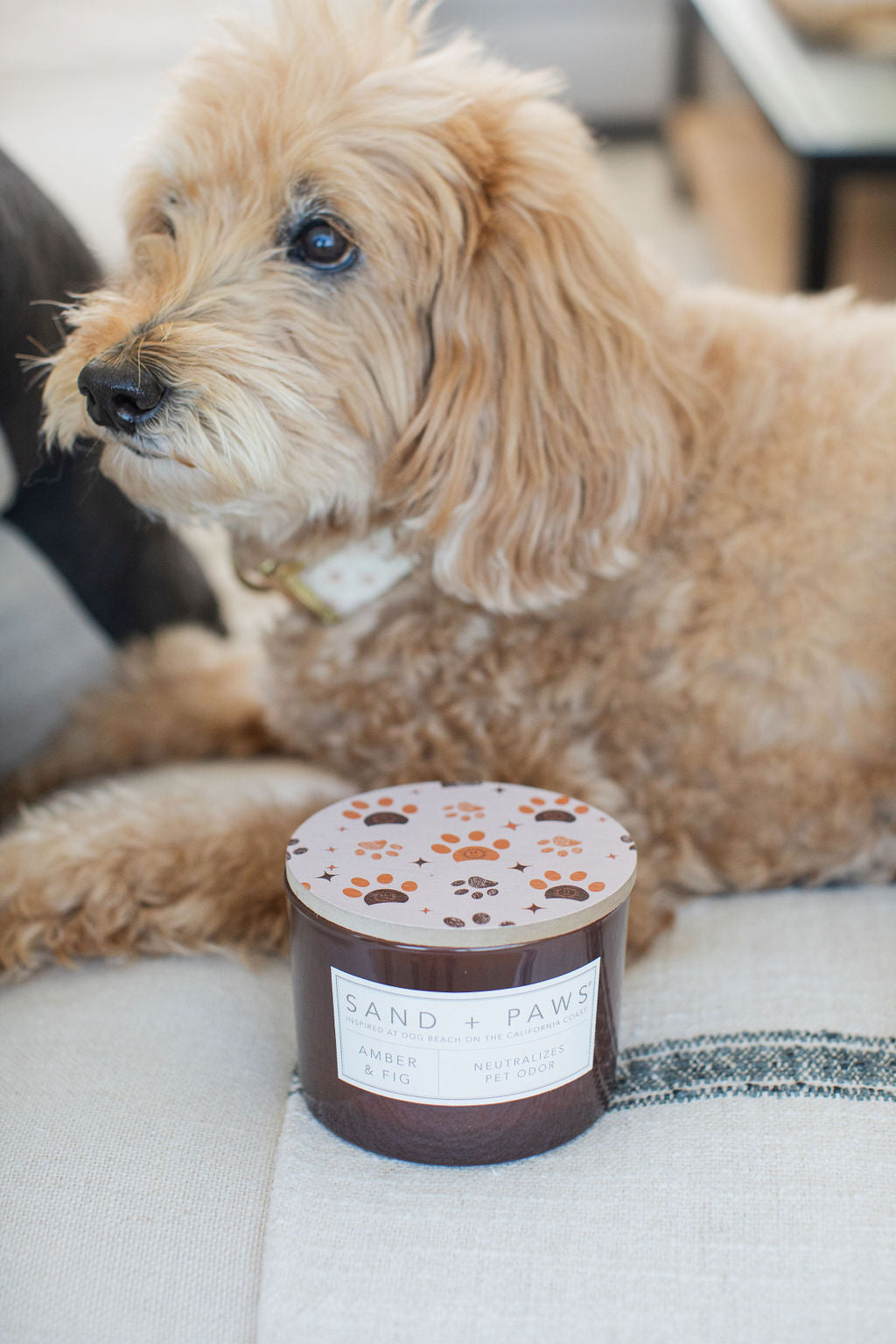 Elegant Sand + Paws Amber & Fig 12 oz scented candle