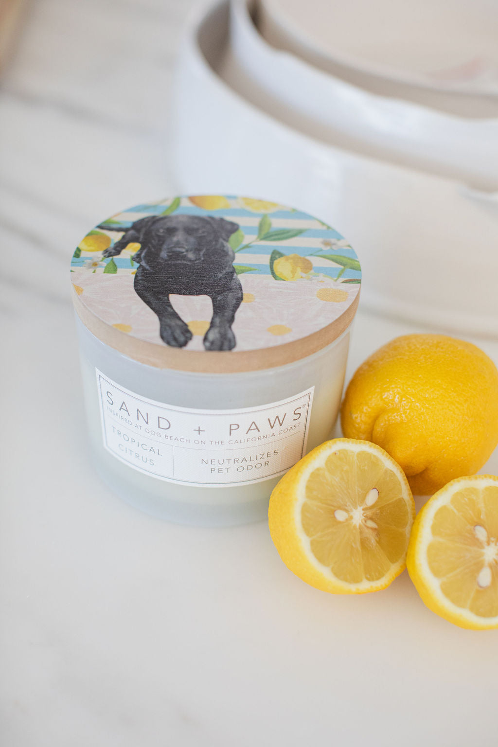 Elegant Sand + Paws Tropical Citrus 12 oz scented candle