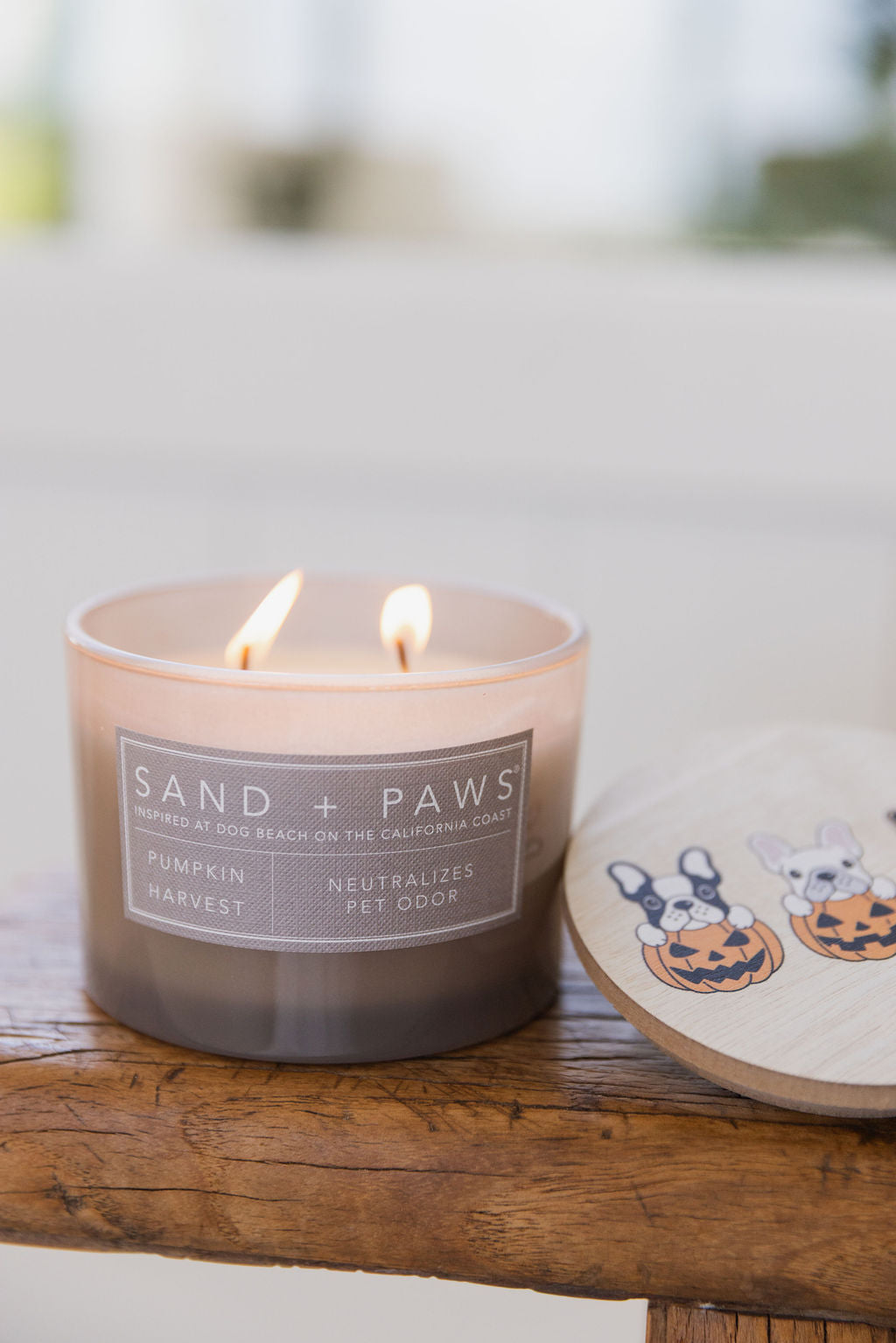 Elegant Sand + Paws Pumpkin Harvest 12 oz scented candle