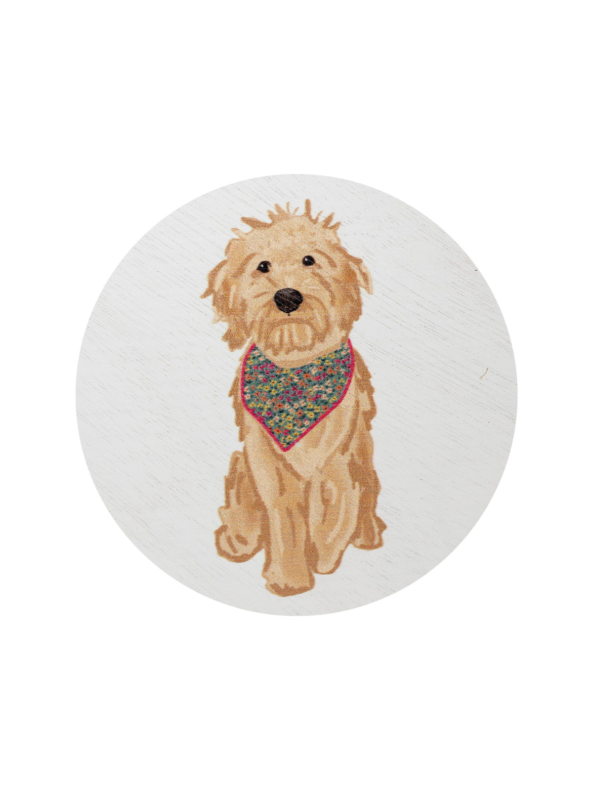 Elegant Sand + Paws Laundry Day 12 oz scented candle