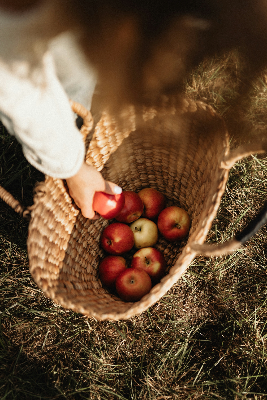 Elegant Apple Picking 12 oz scented candle