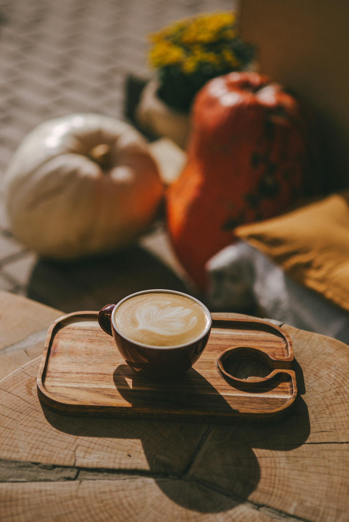 Elegant Sand + Paws Pumpkin Soy Latte 12 oz scented candle