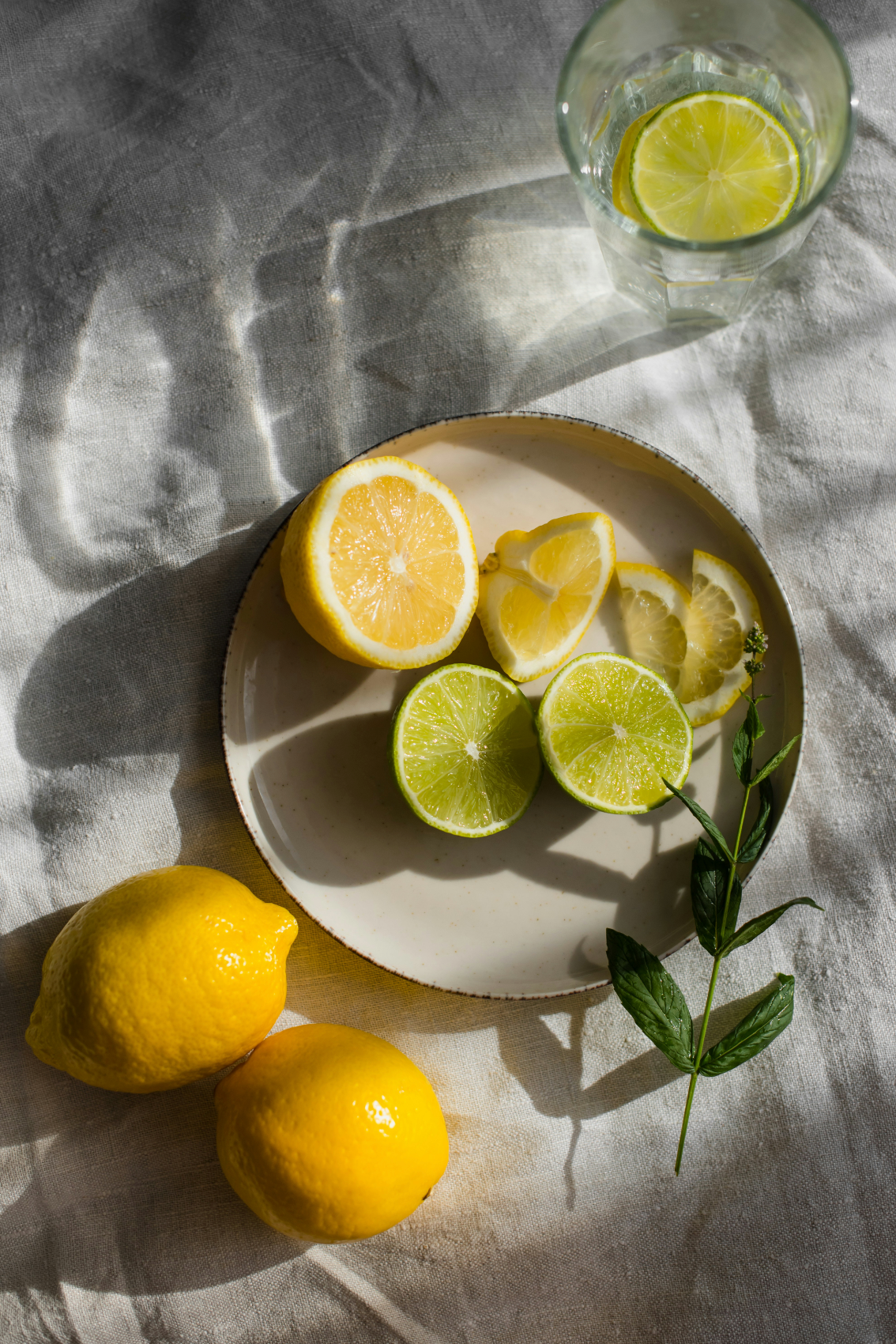 Elegant Limoncello 10 oz scented candle