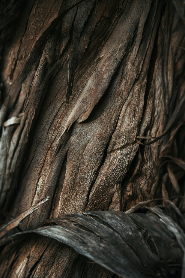 Elegant Vanilla Sandalwood 27 oz scented candle