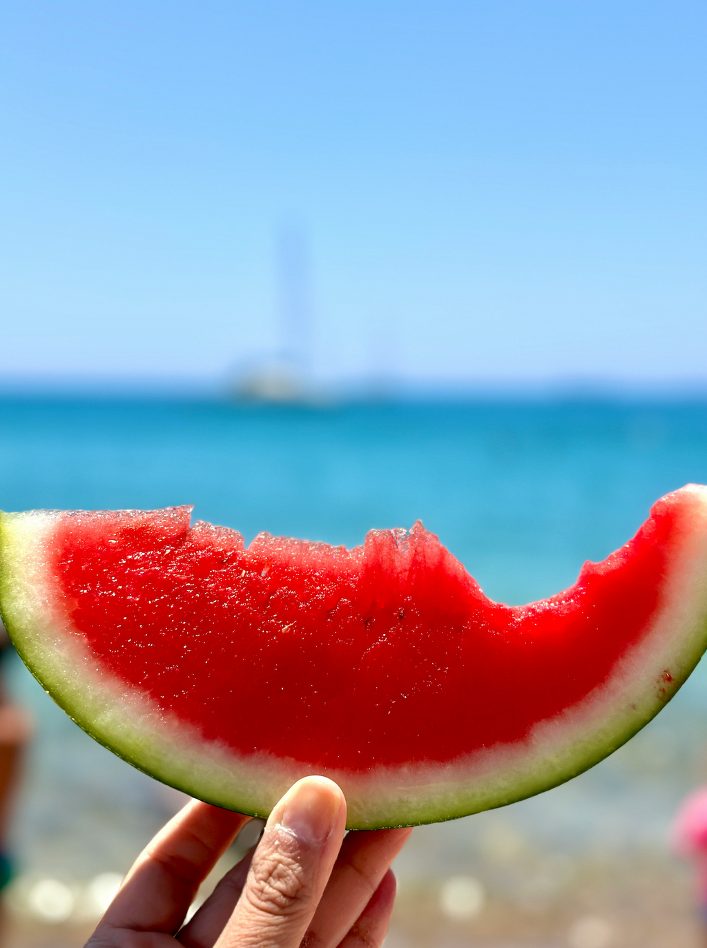 Elegant Watermelon Breeze 10 oz scented candle