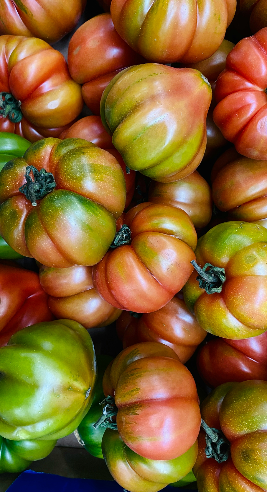 Elegant Sicilian Tomato 12 oz scented candle