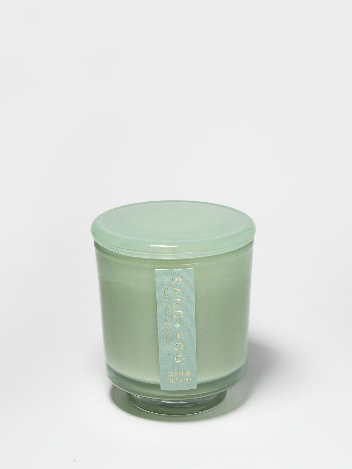 Elegant Seaside Dreams 8 oz scented candle