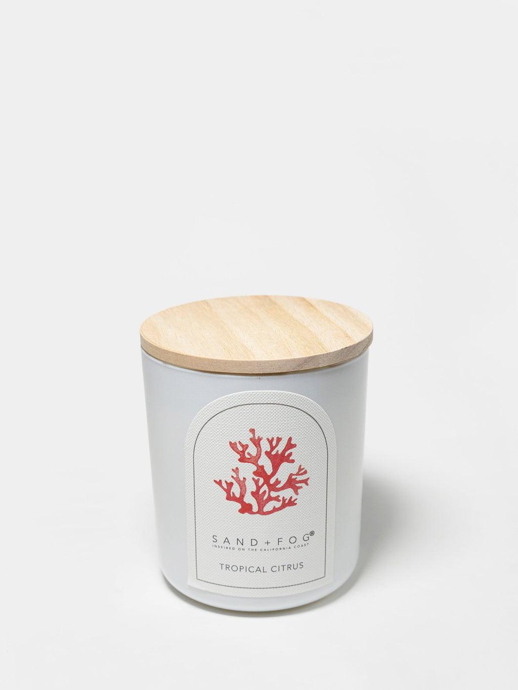 Elegant Tropical Citrus 10 oz scented candle