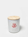 Elegant Tropical Citrus 10 oz scented candle