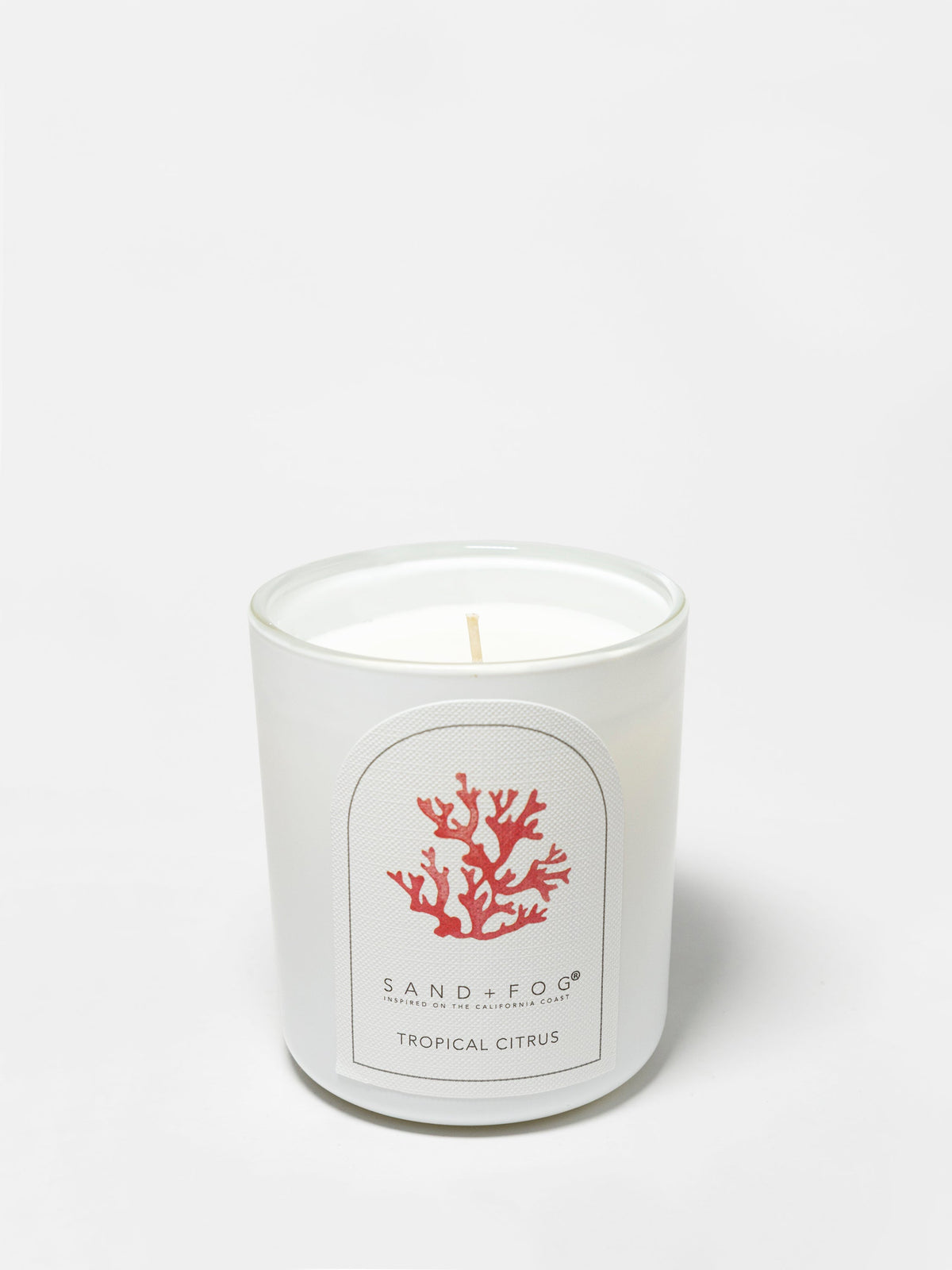 Elegant Tropical Citrus 10 oz scented candle