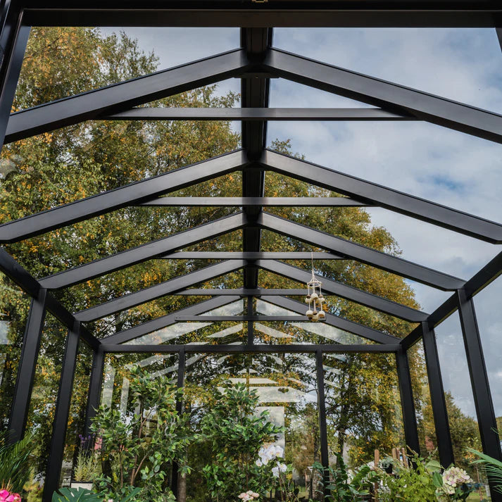 WOODEN greenhouse MODERN | PREMIUM