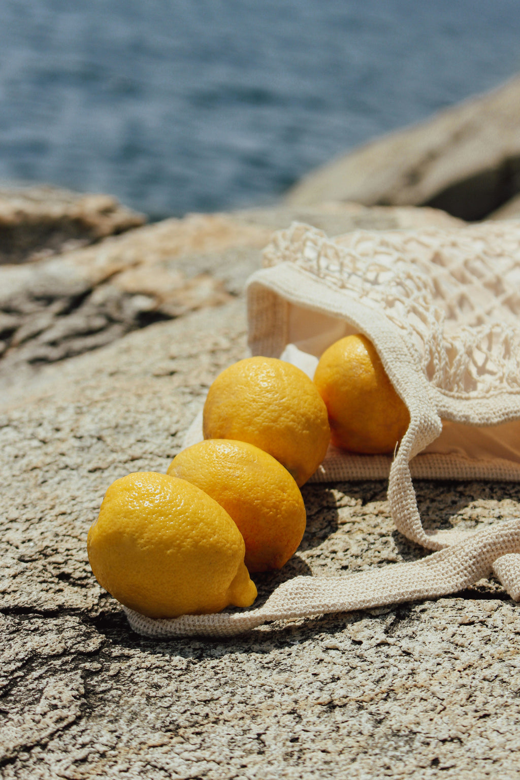 Elegant Italian Citrus 12 oz scented candle