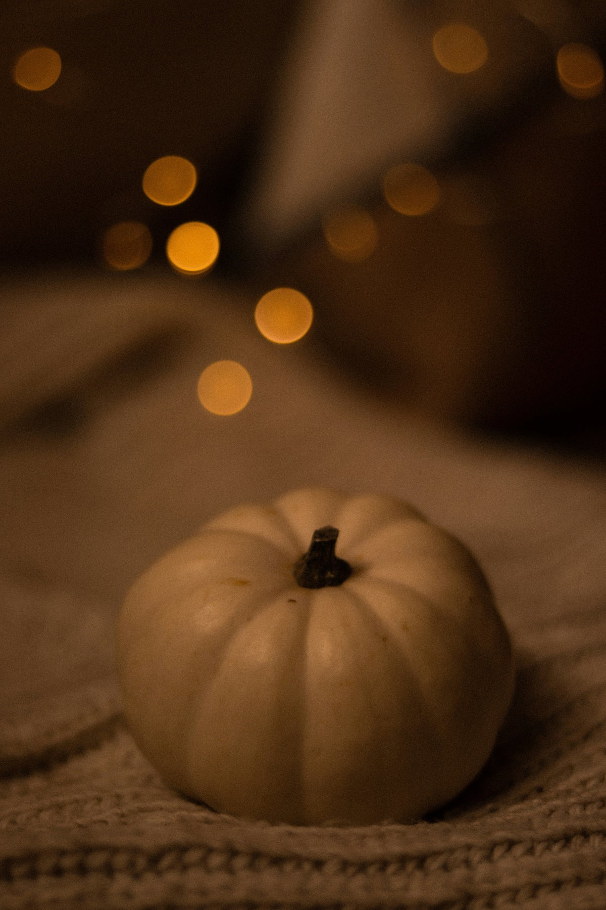 Elegant Pumpkin & Vanilla 12 oz scented candle
